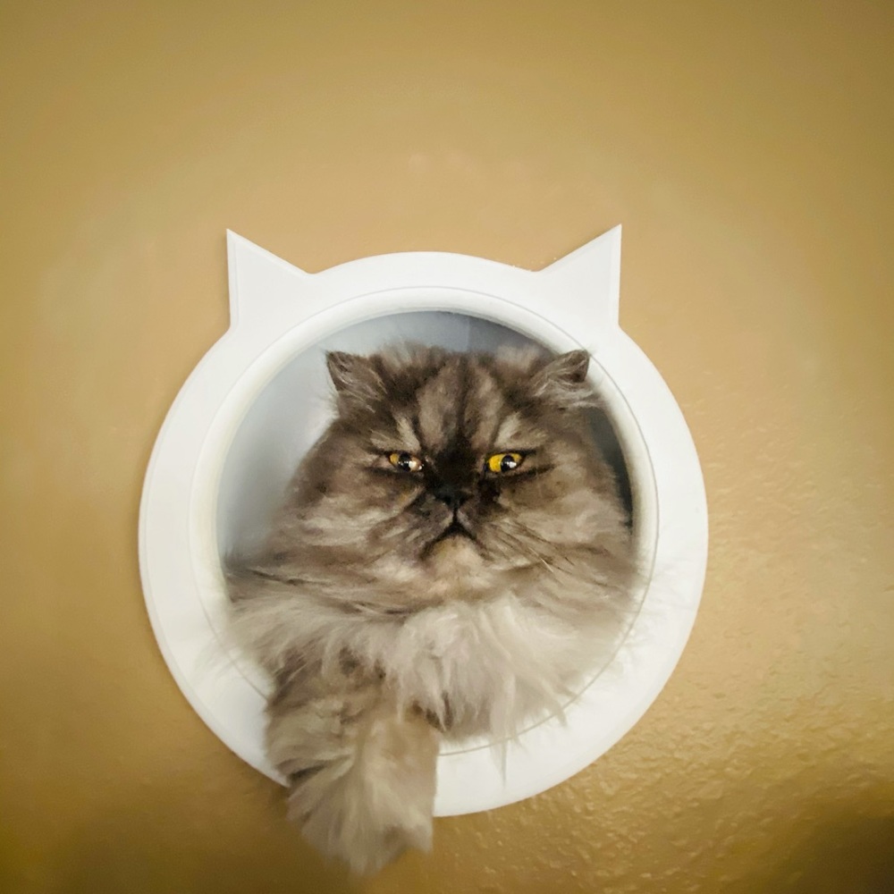 Meet your Posher, Patti